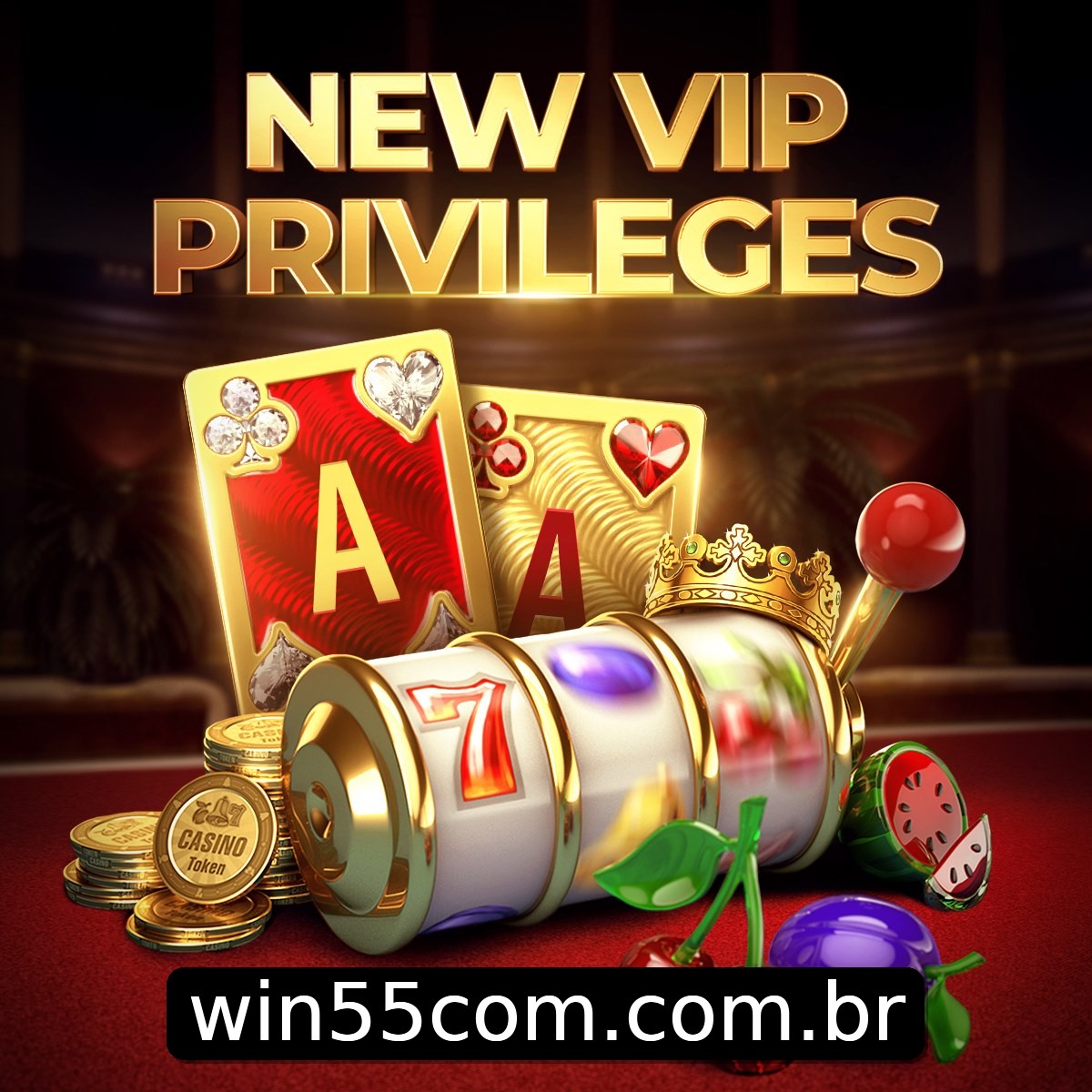 Programa VIP win55